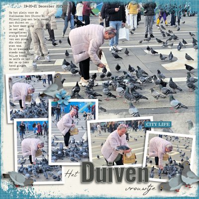 Het duiven vrouwtje