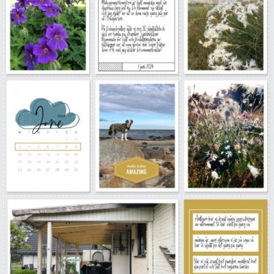 Week 23a 2024