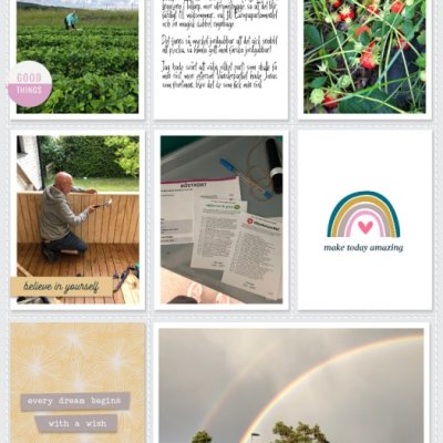 Week 23b 2024