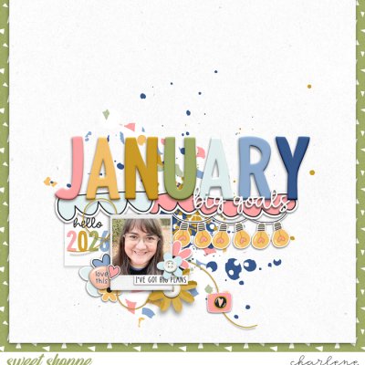 January - Big Goals