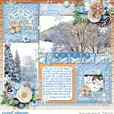 Winter Beauty