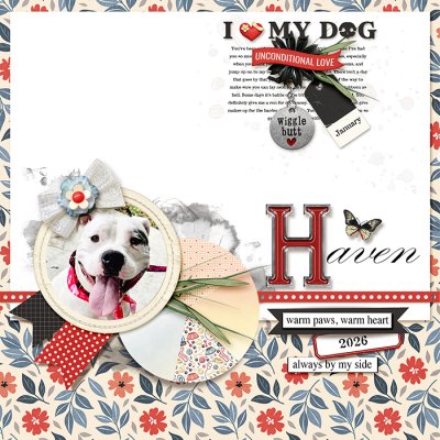 FUREVER LOVED | HAVEN