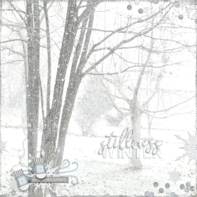 Winter Stillness