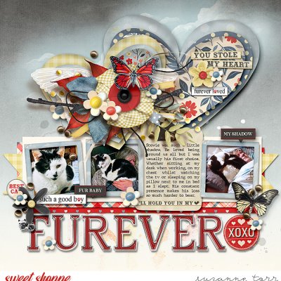 I'll hold you in my heart furever
