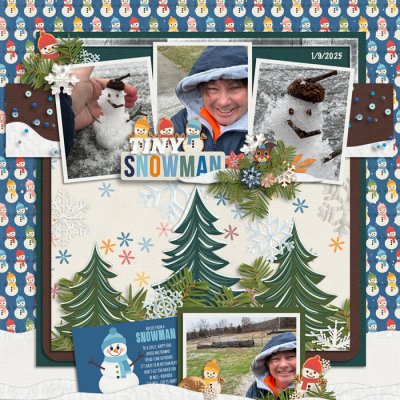 Ready Set Snow by Clever Monkey Graphics