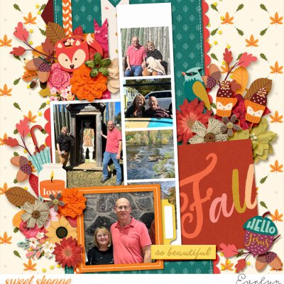 Fall Is Beautiful