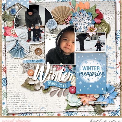Winter Snow Days