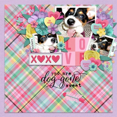 Dog-gone Sweet