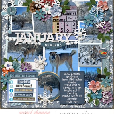 January 2026
