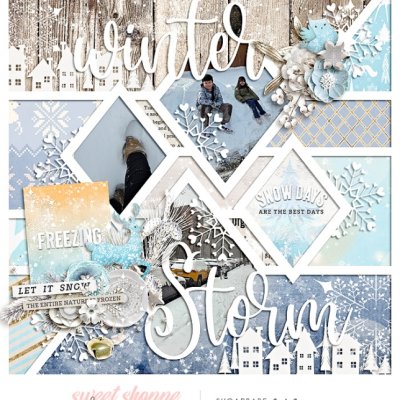 winter storm
