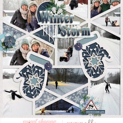 Winter Storm
