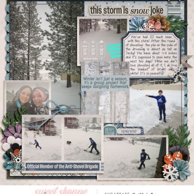 Snow Joke