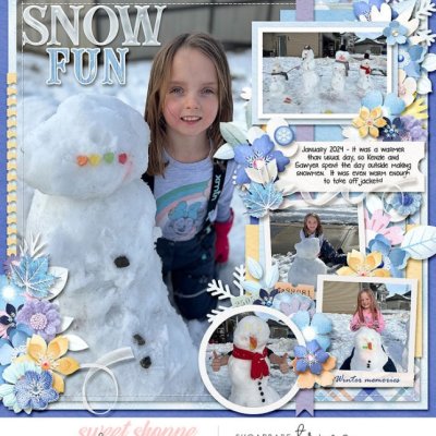 Snow Fun