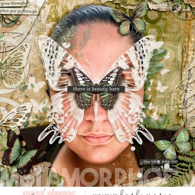 Metamorphosis