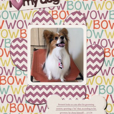 I Love My Dog