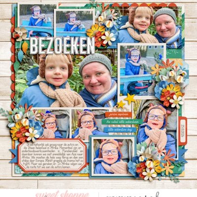Bezoeken