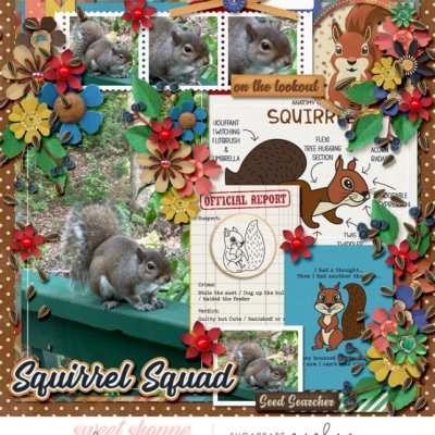 Squirrel Squad