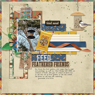Feed Feathered Friends