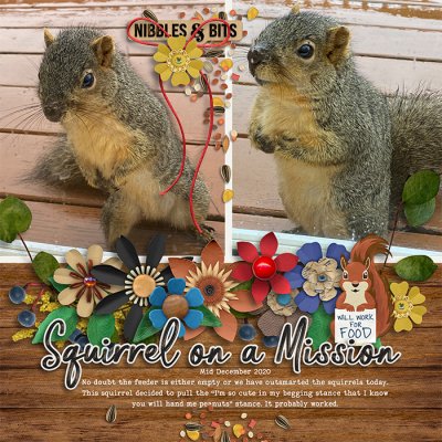 Begging posture - Squirrels next trick!