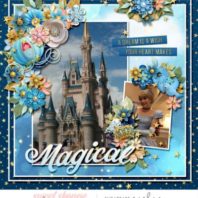 The Most Magical Place