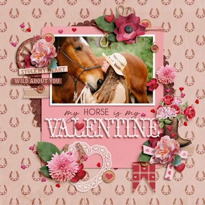 My Horse is my Valentine