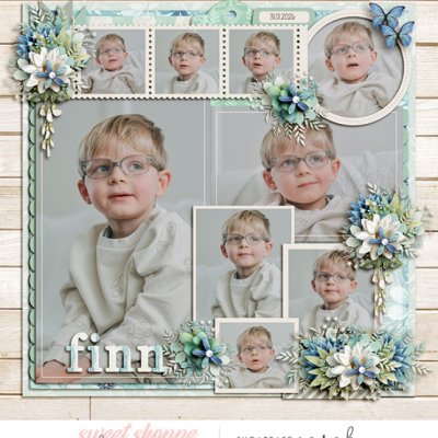 Finn