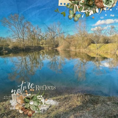 Nature reflects