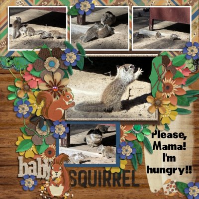 Baby Squirrel