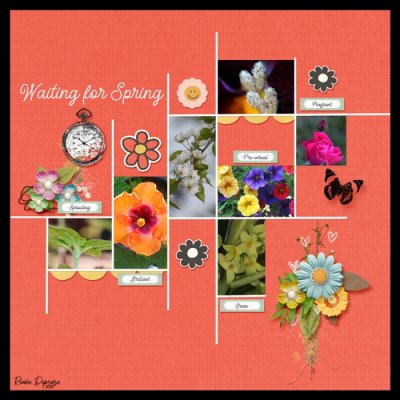 Waiting For Spring