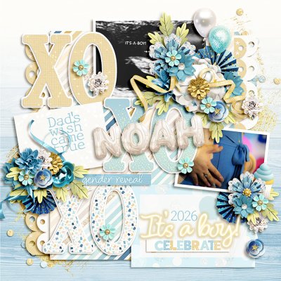 Baby Noah-Gender Reveal