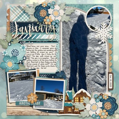 January Arctic Blast