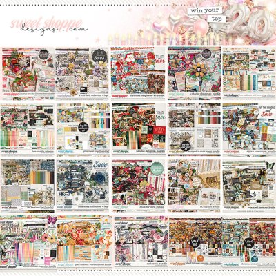 ss_2026_02_wish_list