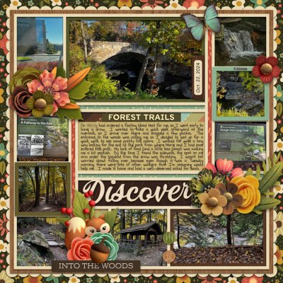 Discover