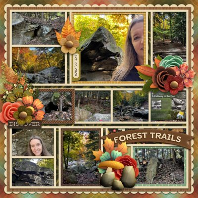Forest Trails