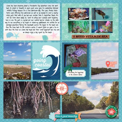John D MacArthur Beach State Park - right