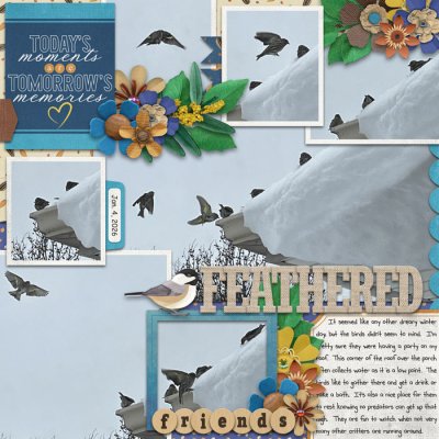 Feathered Friends