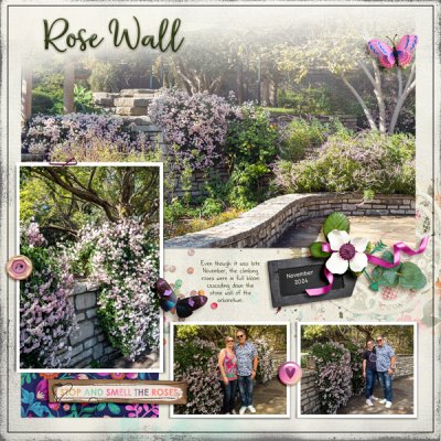 Rose Wall