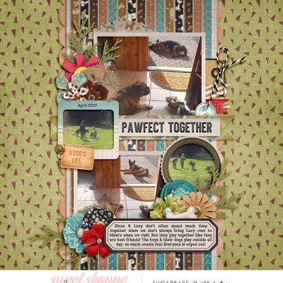 2017_4_Pawfect Together-babe.jpg