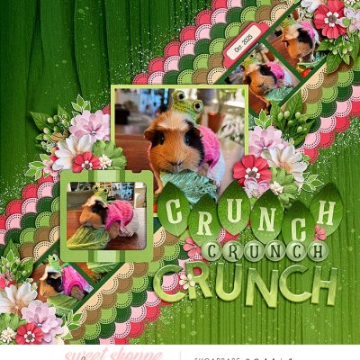 Crunch Crunch Crunch