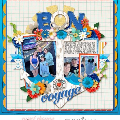 Bon Voyage
