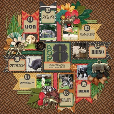 Top 8 Zoo Animals