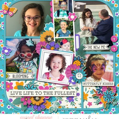 Live Life to the Fullest