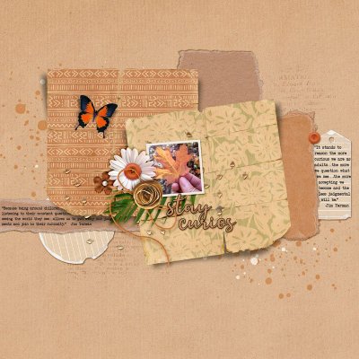 stay-curios