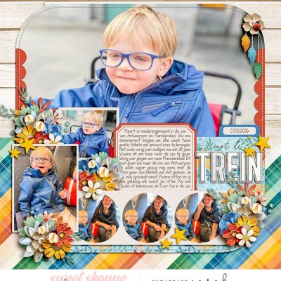 Met de trein