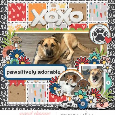 Pawsitively-Adorable