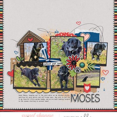 allyanne_ScrapMaps15_PetPals WM.jpg