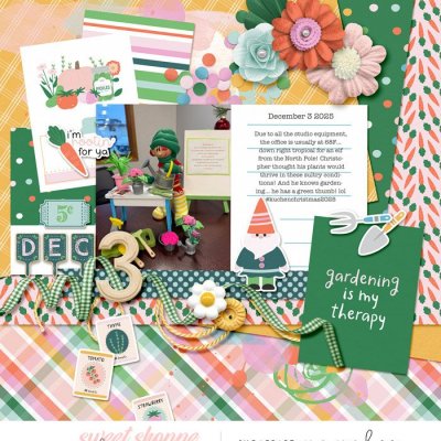 Dec Daily Day three - gardening