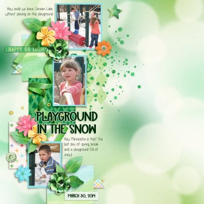 20140330  Snowy Playground