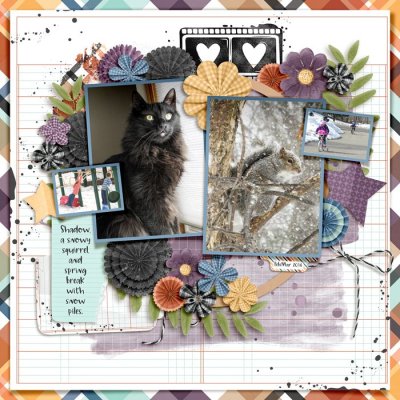 Jan to March 2014 Cover