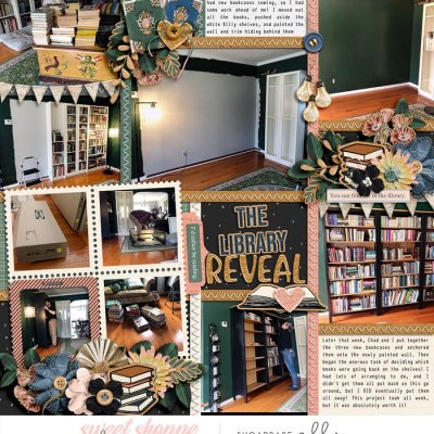 Library Reveal